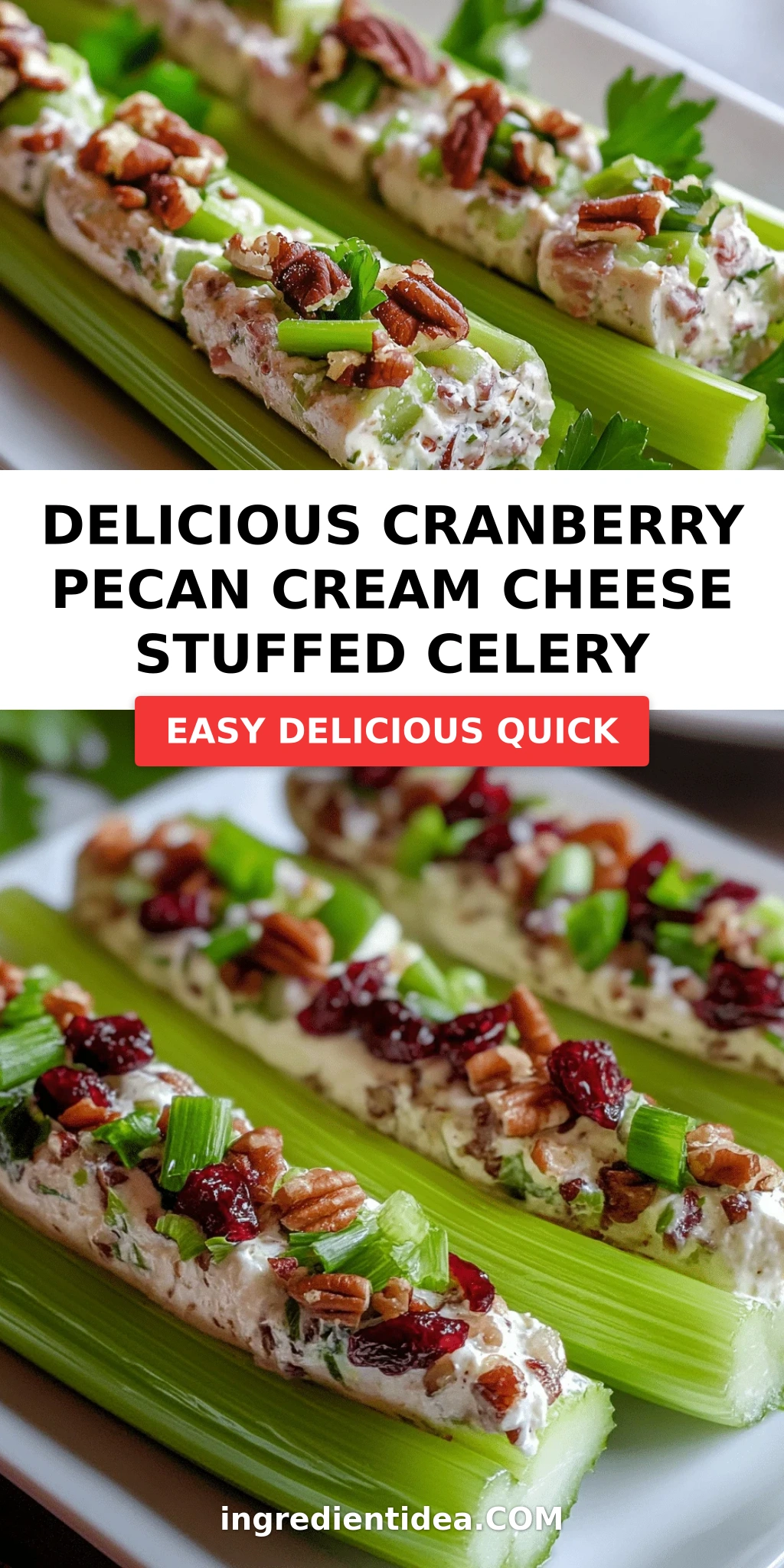 Delicious Cranberry Pecan Cream Cheese Stuffed Celery