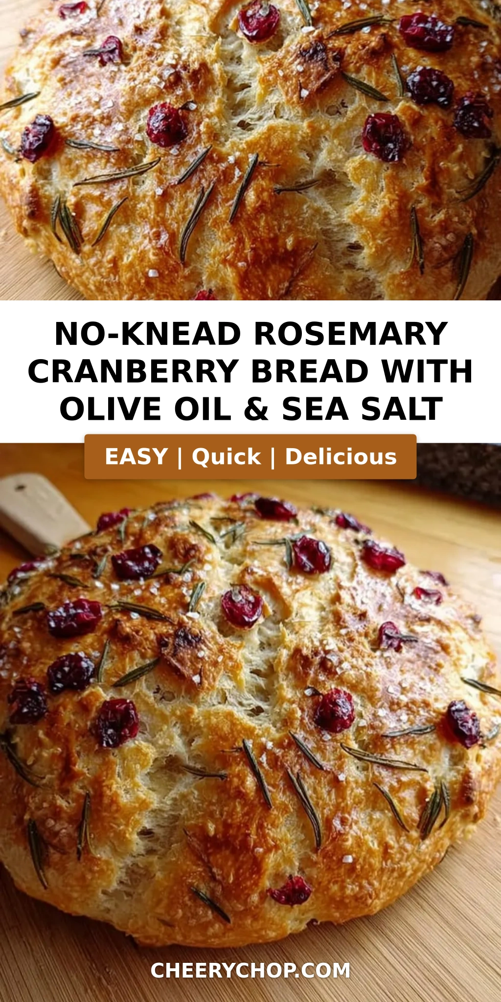 No-Knead Rosemary Cranberry Bread with Olive Oil & Sea Salt