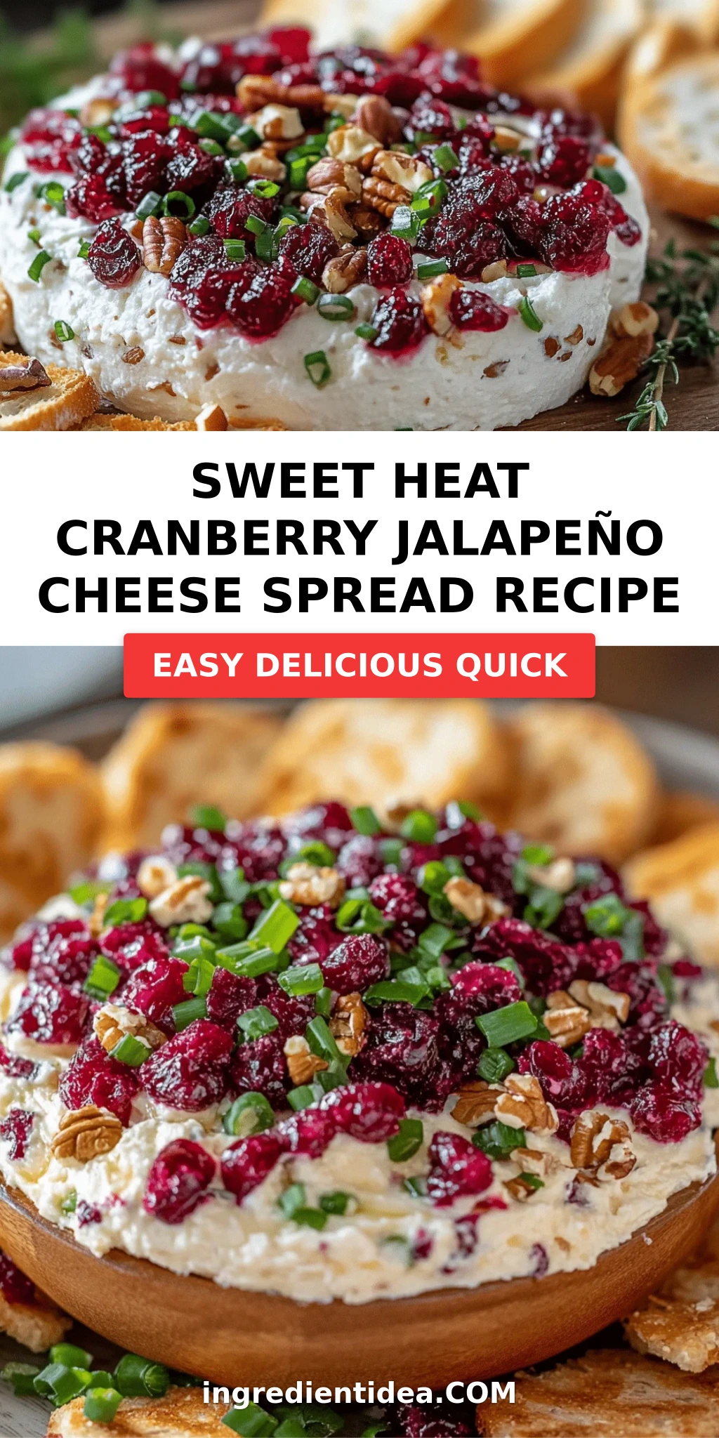 Sweet Heat Cranberry Jalapeño Cheese Spread Recipe