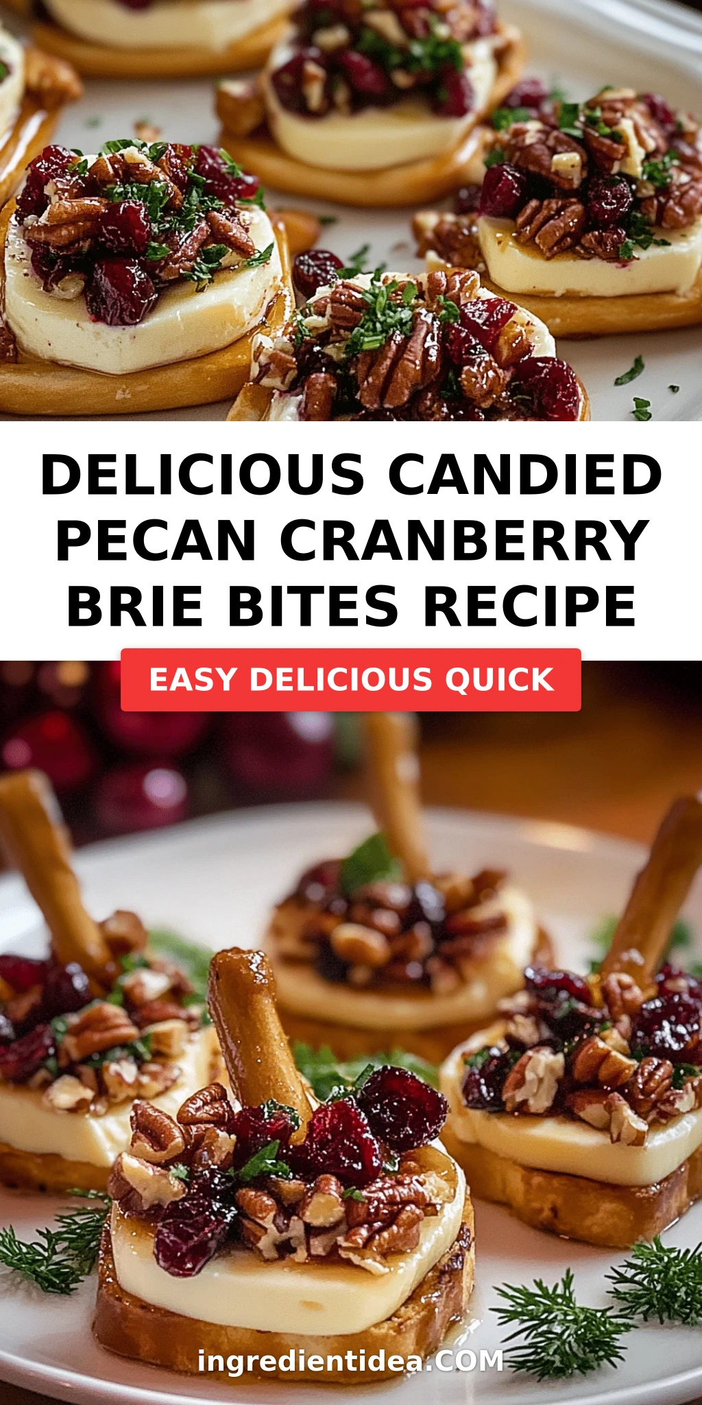 Delicious Candied Pecan Cranberry Brie Bites Recipe