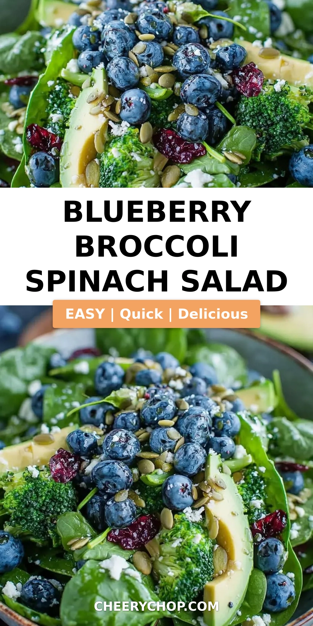 Blueberry Broccoli Spinach Salad
