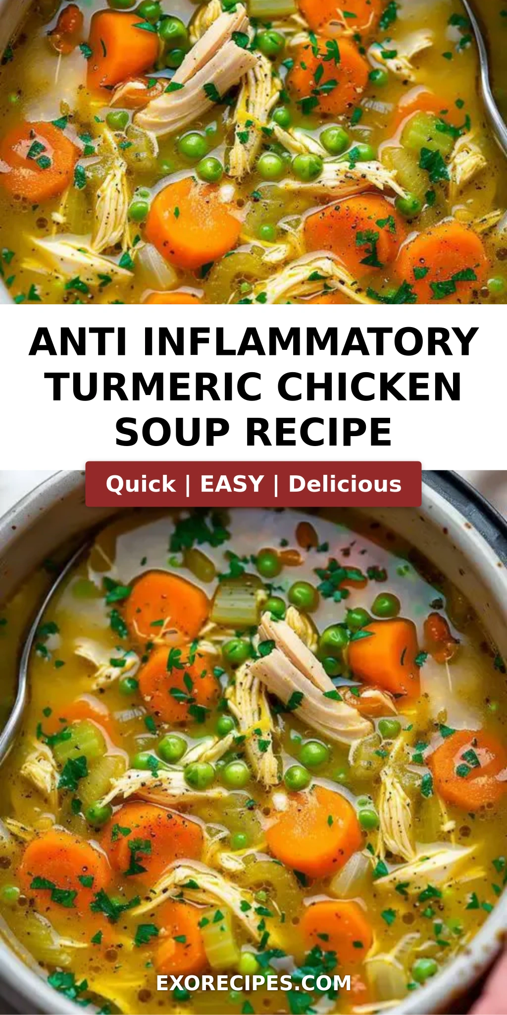 ANTI INFLAMMATORY TURMERIC CHICKEN SOUP