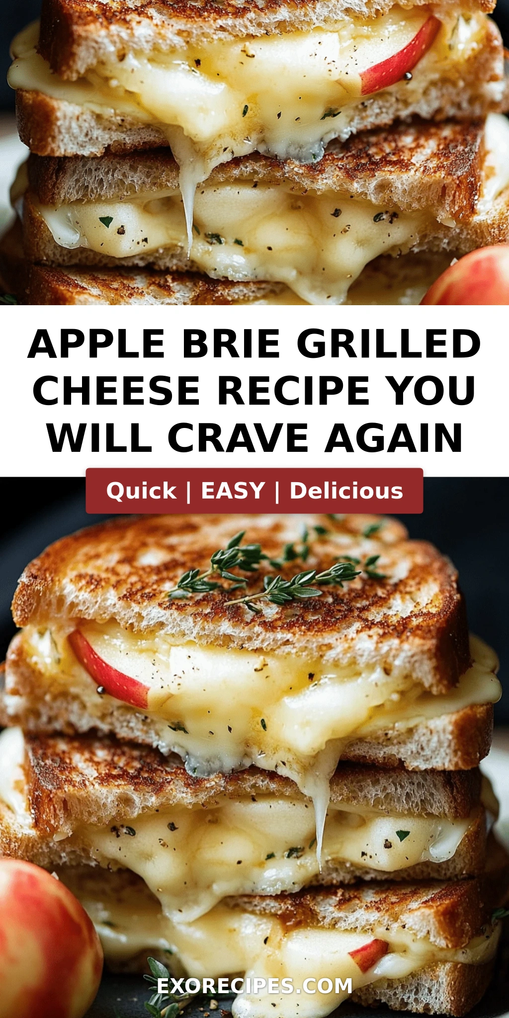 Apple Brie Grilled Cheese Sandwich Recipe Youll Crave Again and Again