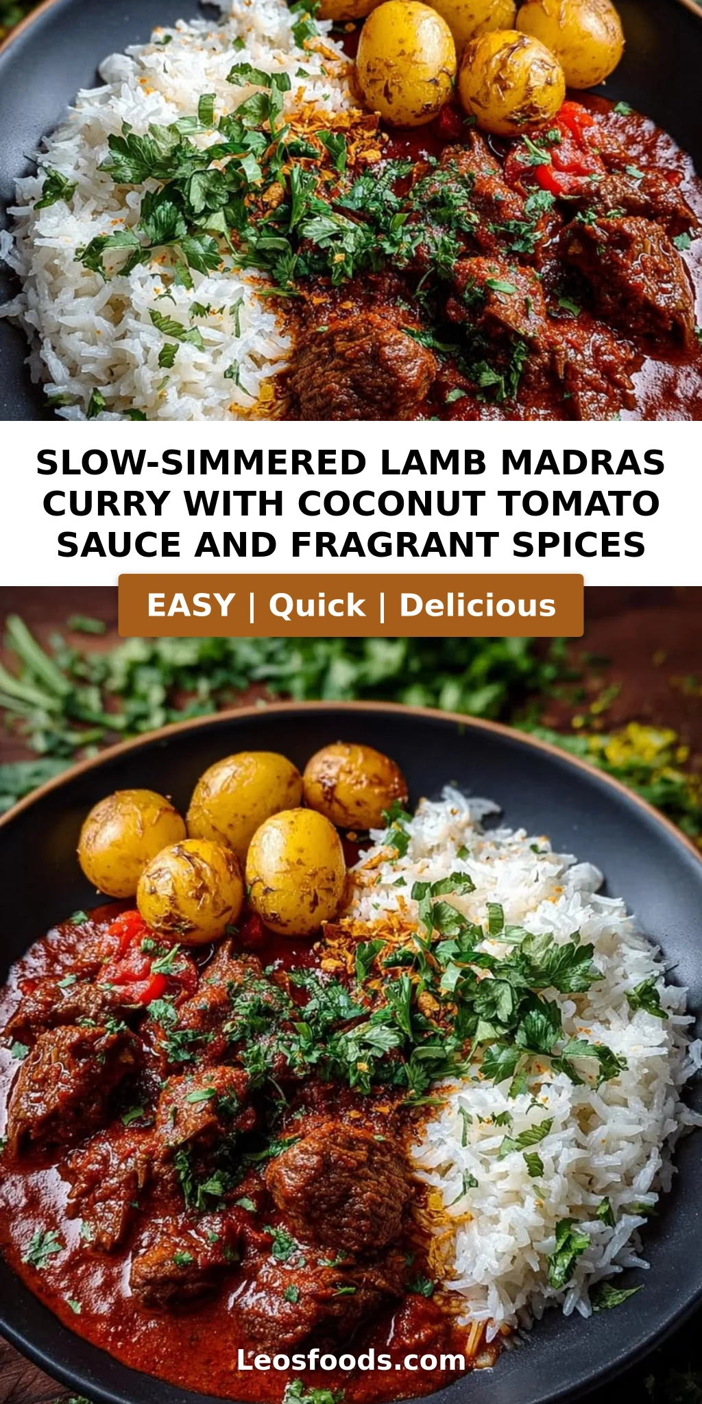 Slow-Simmered Lamb Madras Curry with Coconut Tomato Sauce and Fragrant Spices