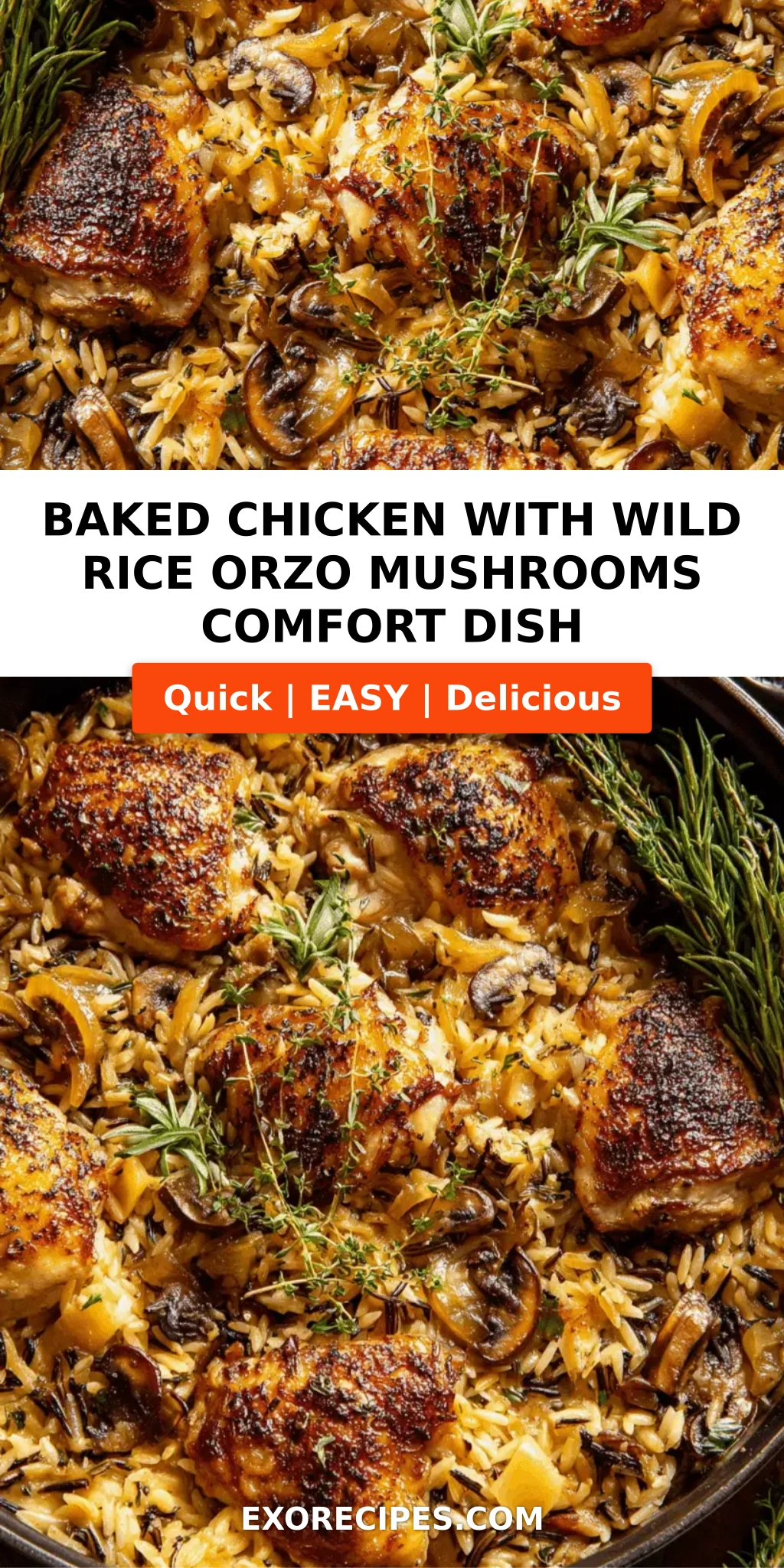 Baked Chicken with Wild Rice, Orzo, Mushrooms & Caramelized Onions Your Ultimate Comfort Dish Guide