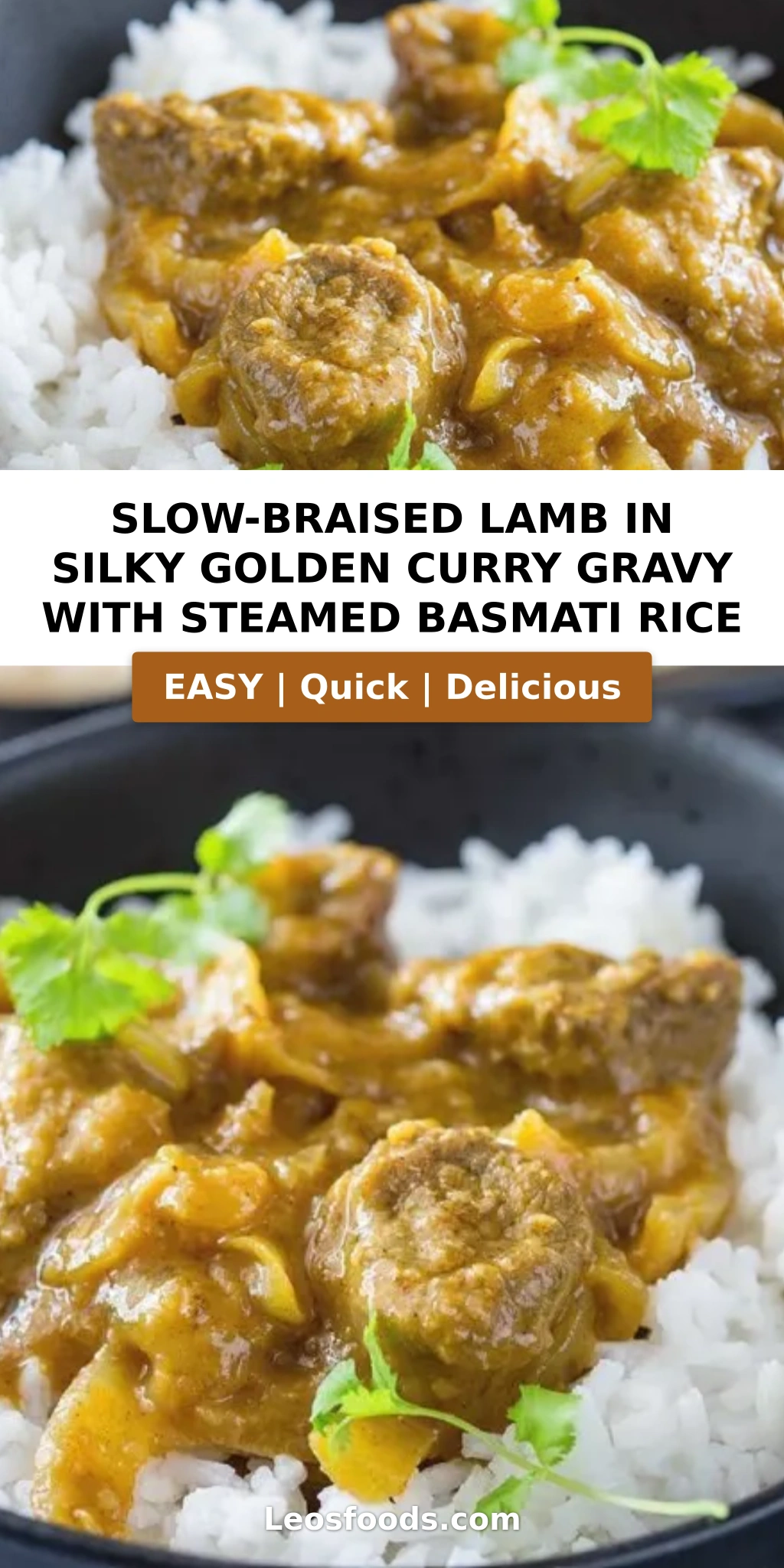 Slow-Braised Lamb in Silky Golden Curry Gravy with Steamed Basmati Rice