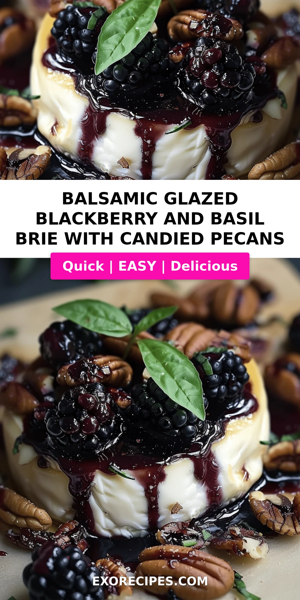 Balsamic Glazed Blackberry and Basil Brie with Candied Pecans