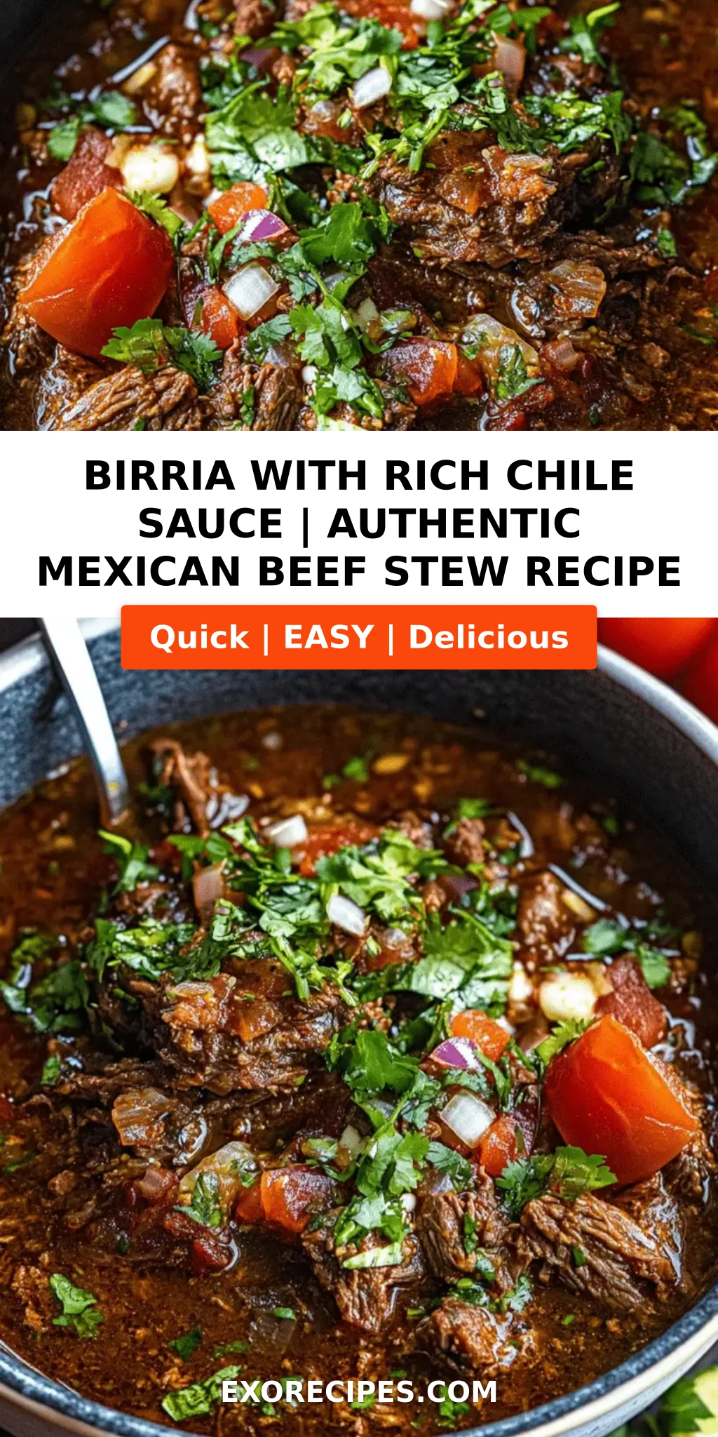 Birria with Rich Chile Sauce