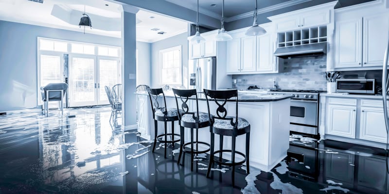 Water Mitigation