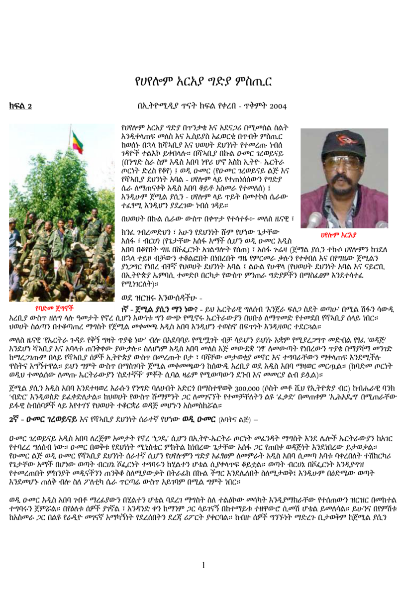 hayelom final murder report