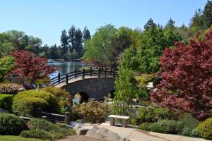 Woodward Park