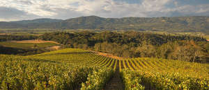 St. Helena