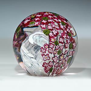 Cherry Blossoms