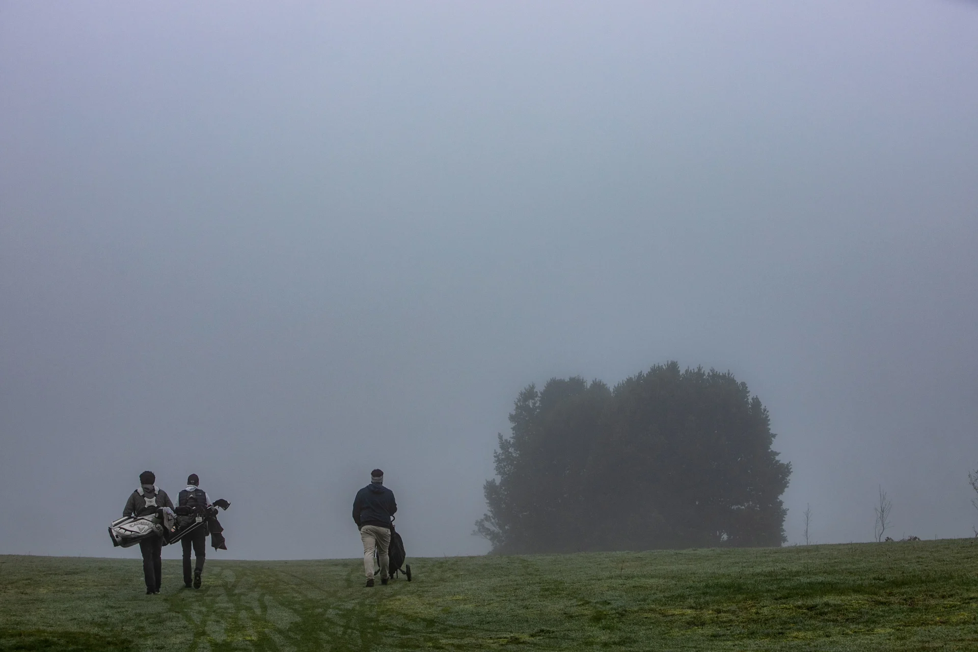 Golf Landscape 1