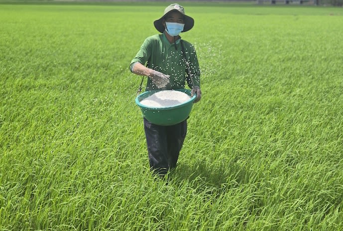 Việt Nam trong ‘cú sốc’ phân bón toàn cầu