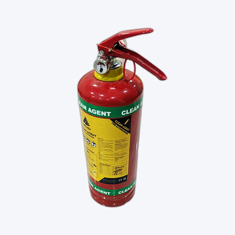 2 Kg Clean Agent Fire Extinguisher 3
