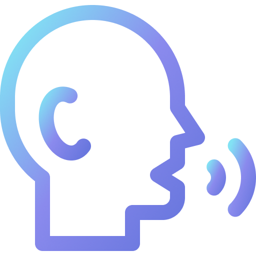 External Voice ChatBot