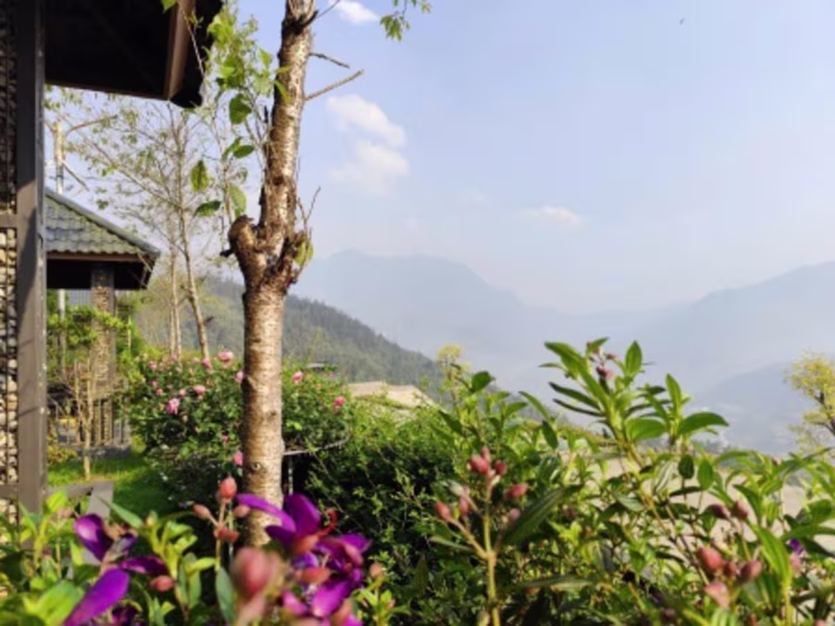 Chuyển nhượng Tổ hợp Resort Boutique 1,5 ha phường Sa Pa - Ảnh chi tiết 3