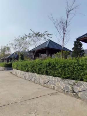 Chuyển nhượng Tổ hợp Resort Boutique 1,5 ha phường Sa Pa - Thumbnail 4