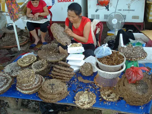 Chủ nhà cần chuẩn bị gì khi đăng mặt bằng cho thuê?
