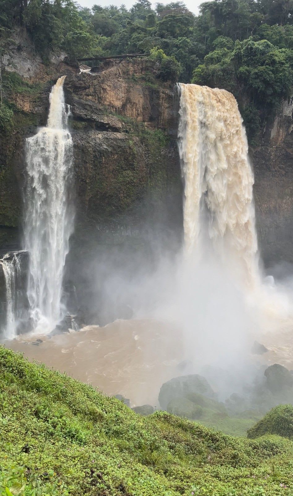 Mighty twin waterfalls plunge thunderously into a misty, rainforest canyon, showcasing nature's magnificent and raw power.