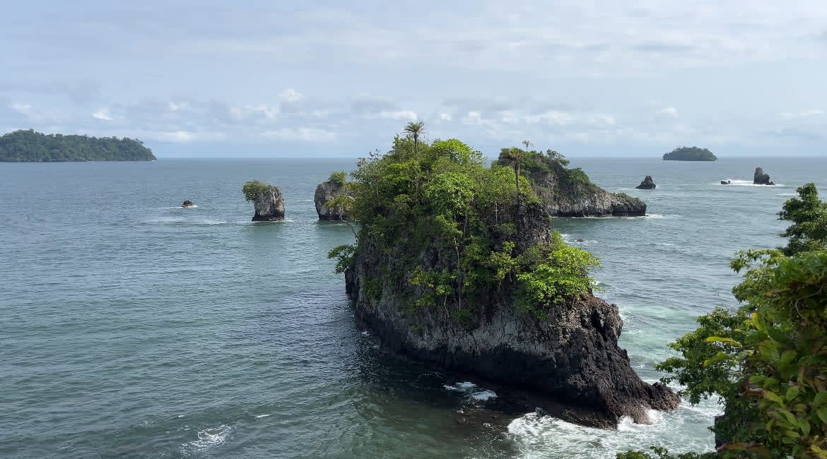 Majestic volcanic rock formations rise from the Atlantic, where wild nature meets the endless ocean horizon.