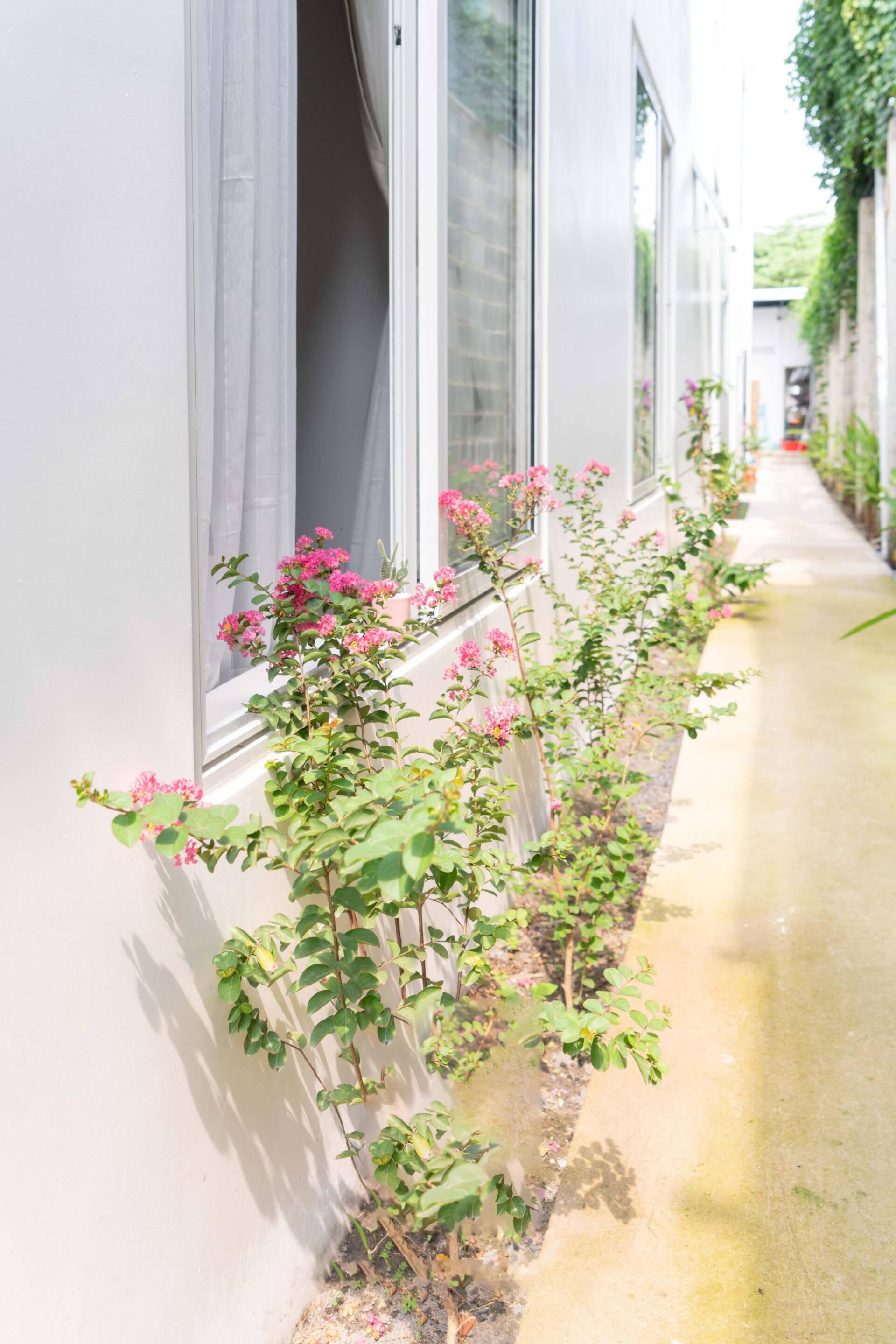 Góc nhìn độc đáo của ngôi nhà đa thế hệ tại Đồng Nai - Ảnh 3.