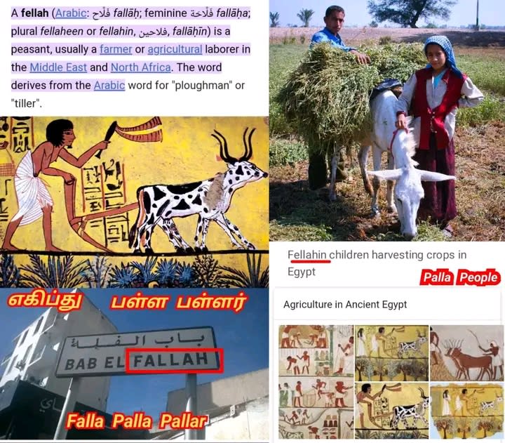 Pallar Mallar Place World | பள்ளர் மள்ளர் என்கிற பெயரில் உலகம் முழுவதும் உள்ள ஊர்கள்