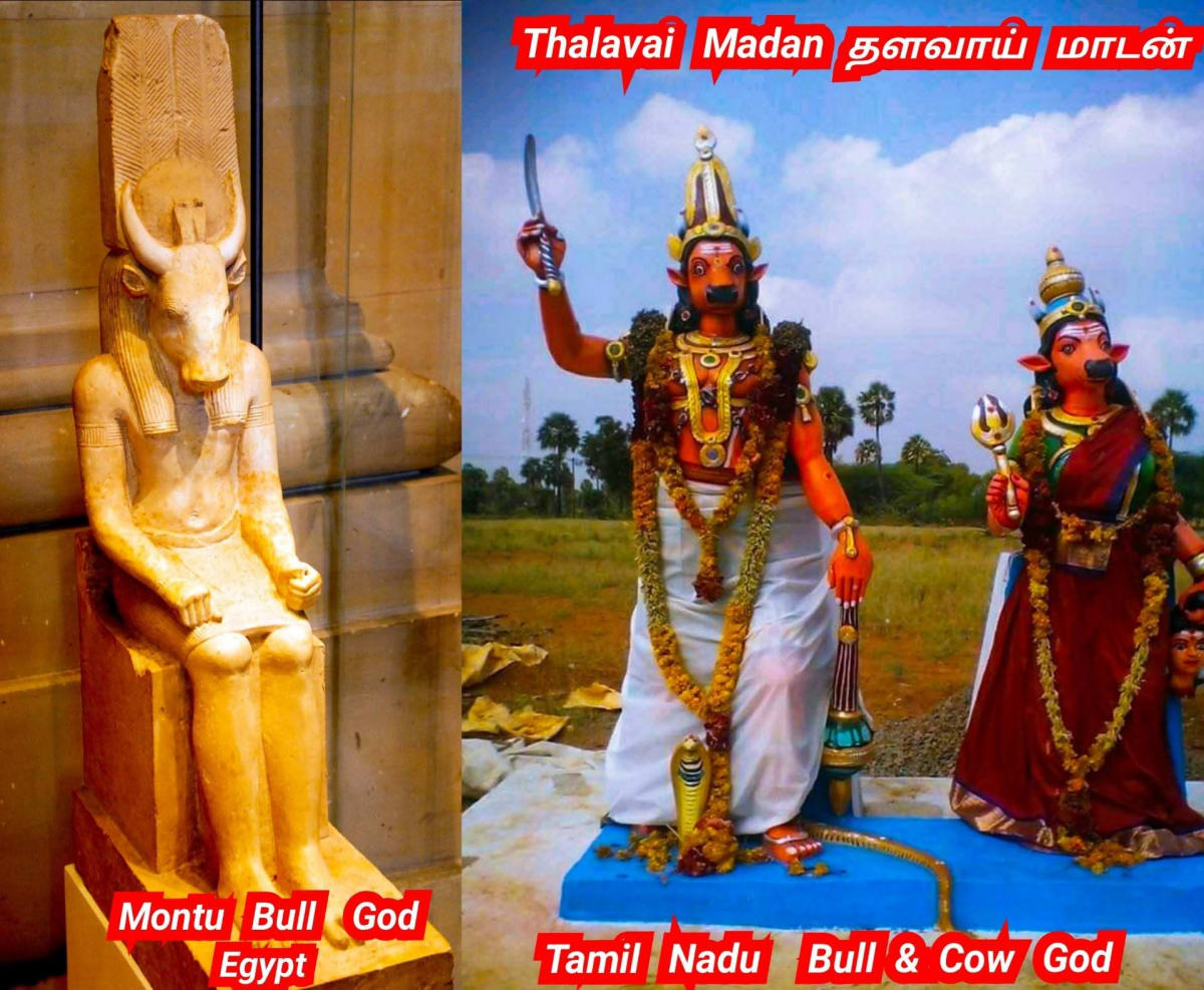 Pallar Mallar World | பள்ளர் மள்ளர் உலகம்