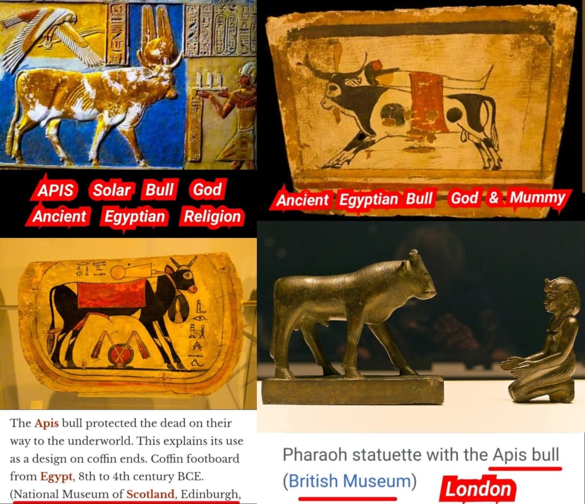 Pallar Mallar World | பள்ளர் மள்ளர் உலகம்