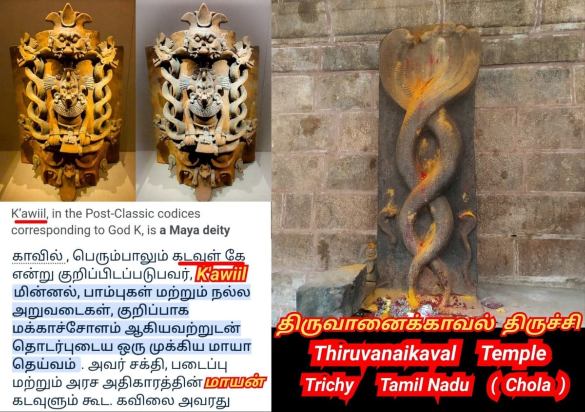 Pallar Mallar World | பள்ளர் மள்ளர் உலகம்
