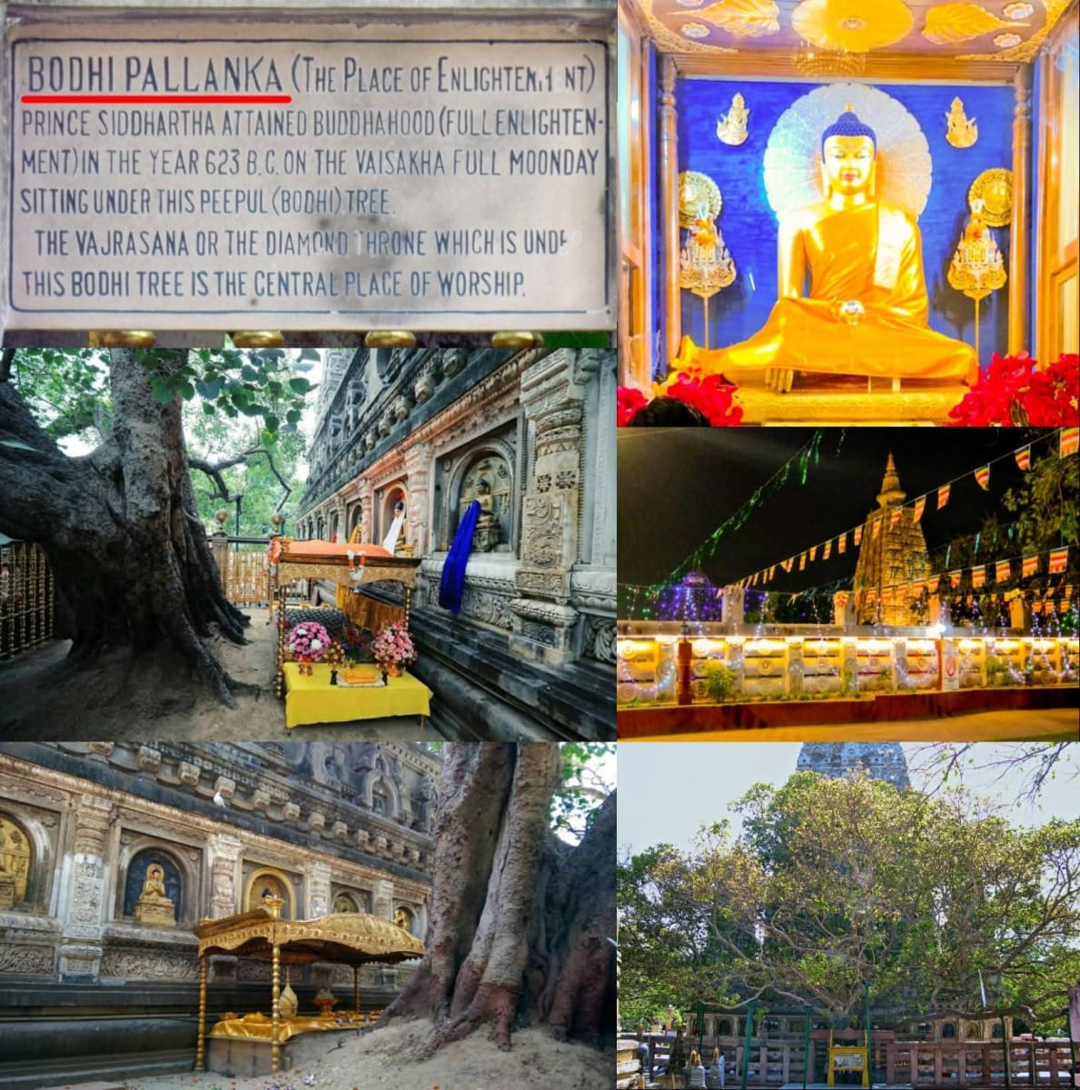 Pallar Mallar World | பள்ளர் மள்ளர் உலகம்