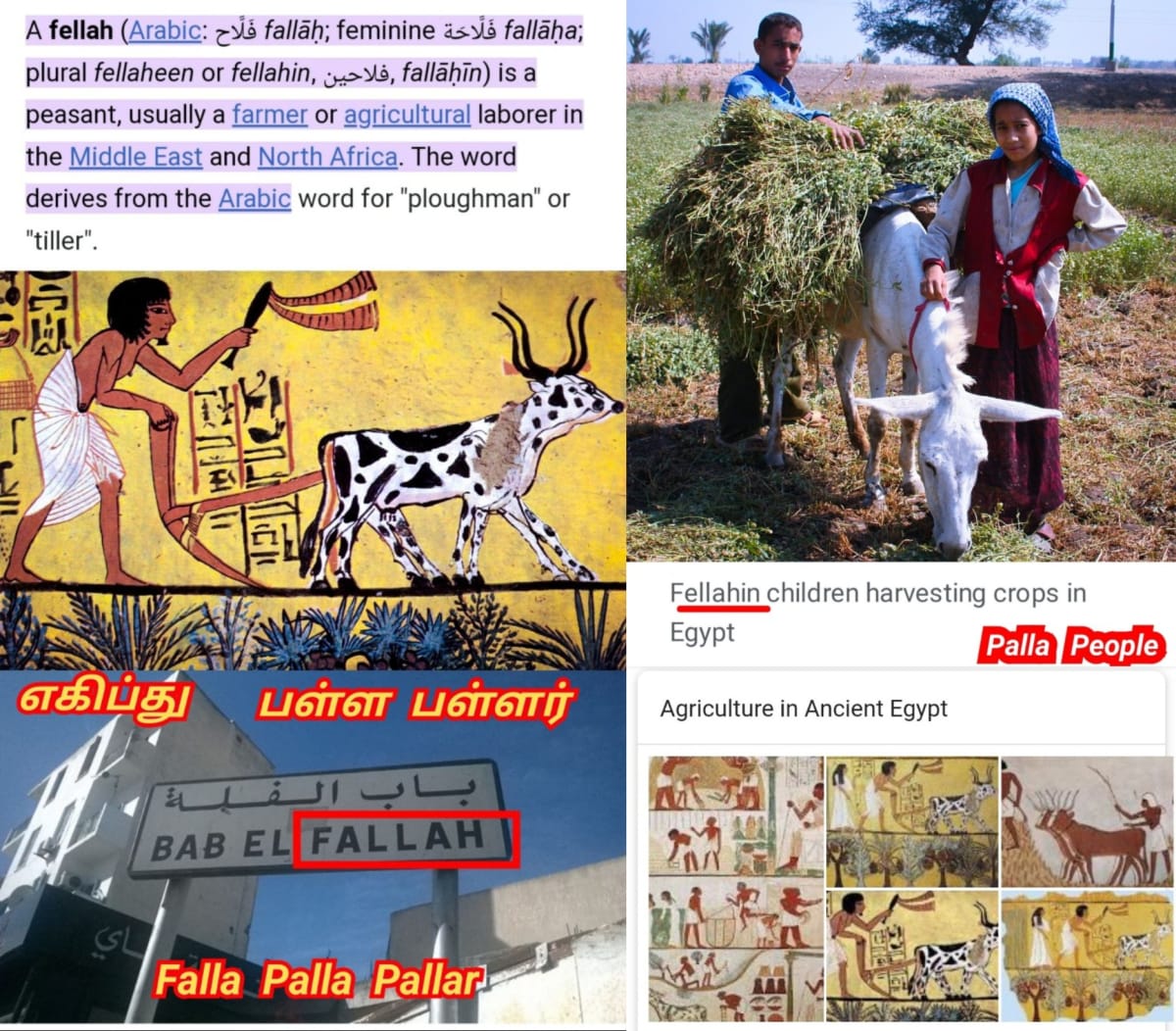 Pallar Mallar World 01 | பள்ளர் மள்ளர் உலகம் 01