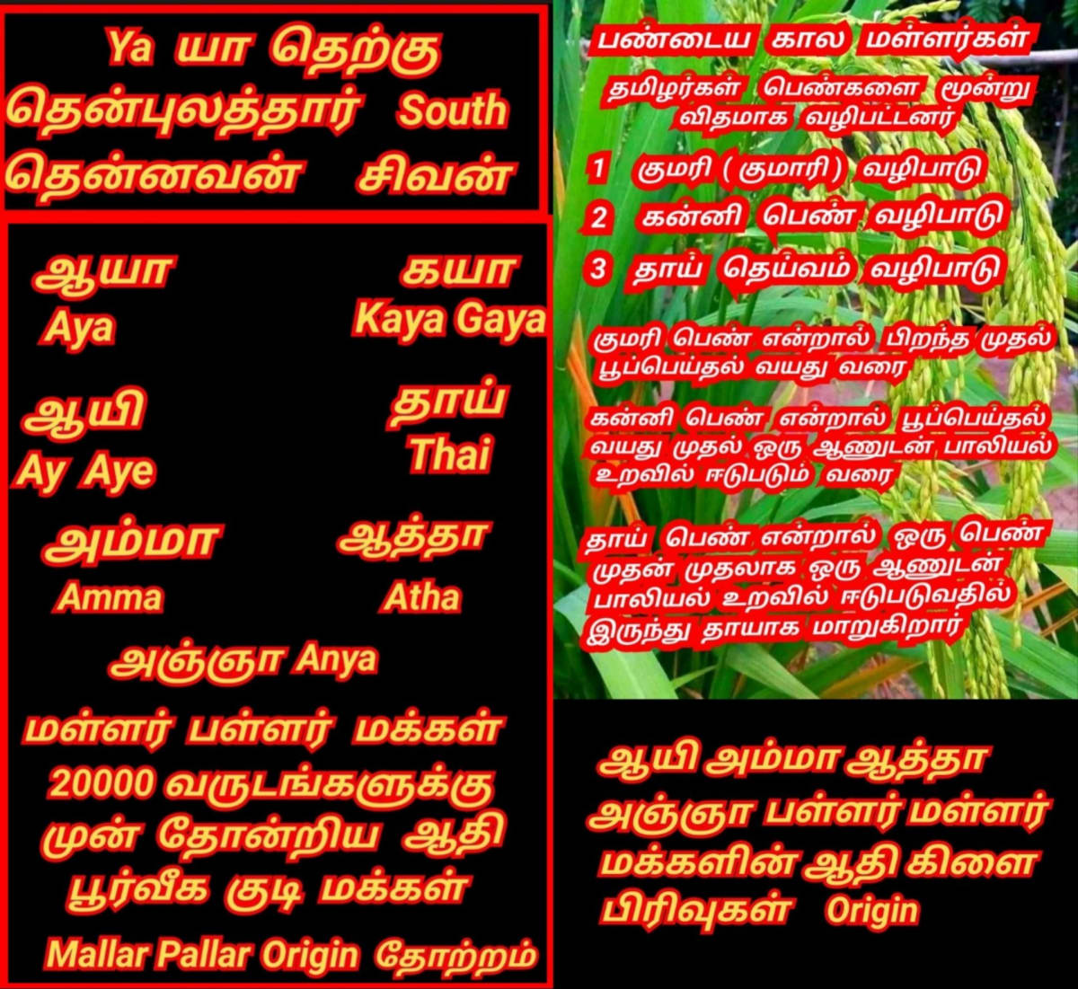 Thenpulathar Pallar Mallar | தென்புலத்தார் தென்னவன் வம்சத்தை சேர்ந்தவர்கள் பள்ளர் மள்ளர்