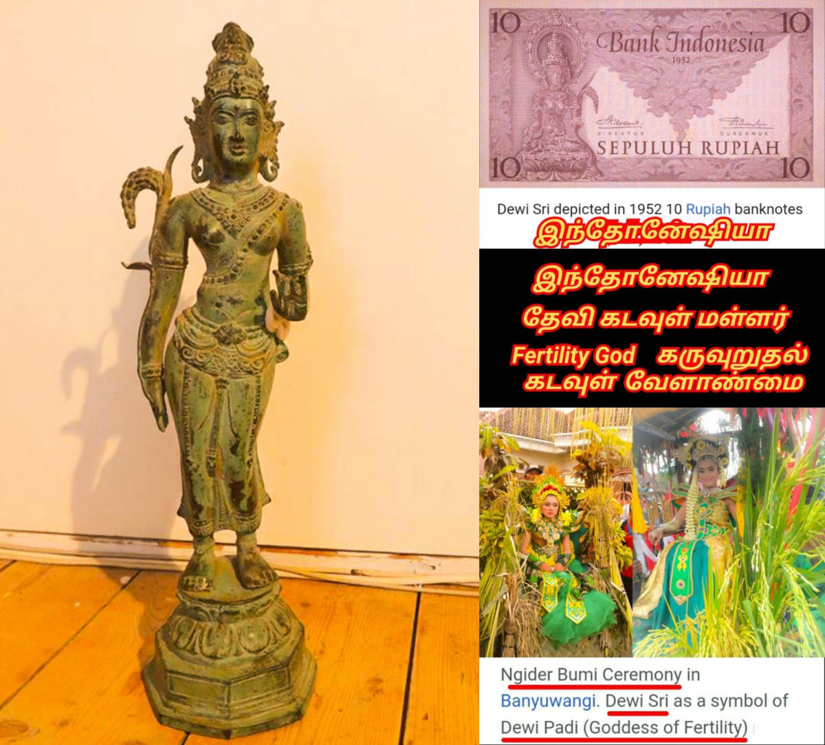 Velalar Pallar Mallar | வேளாளர் உழவர் மள்ளர் பள்ளர் மருத நிலம்