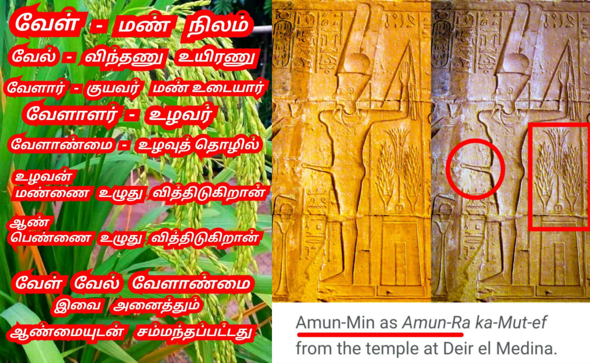 Velalar Pallar Mallar | வேளாளர் உழவர் மள்ளர் பள்ளர் மருத நிலம்