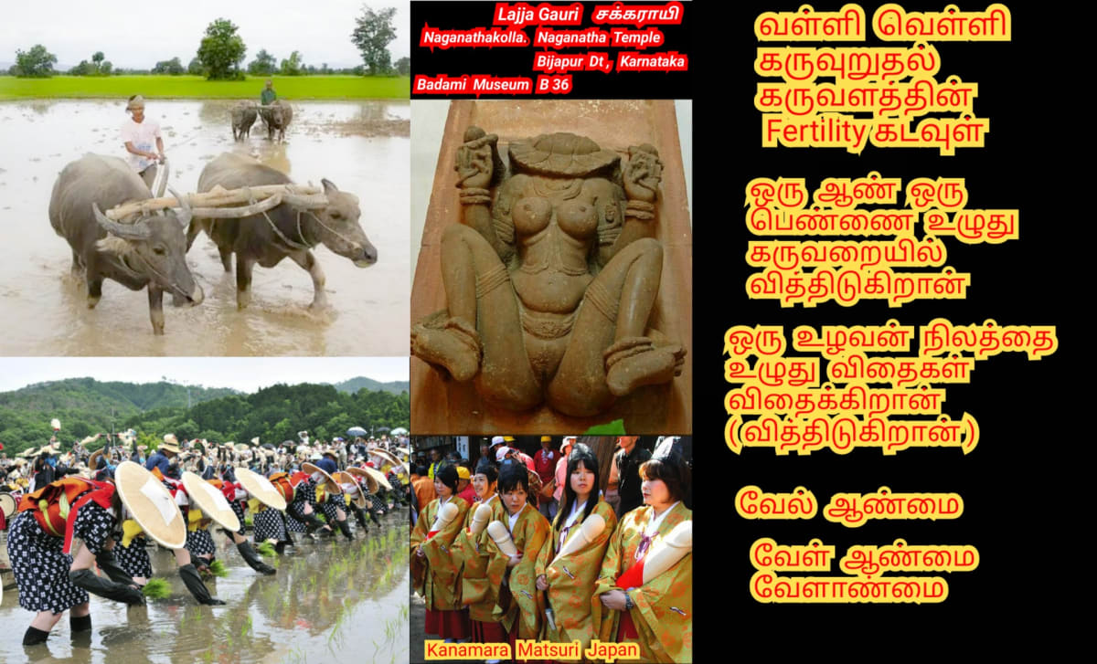 Velalar Pallar Mallar | வேளாளர் உழவர் மள்ளர் பள்ளர் மருத நிலம்