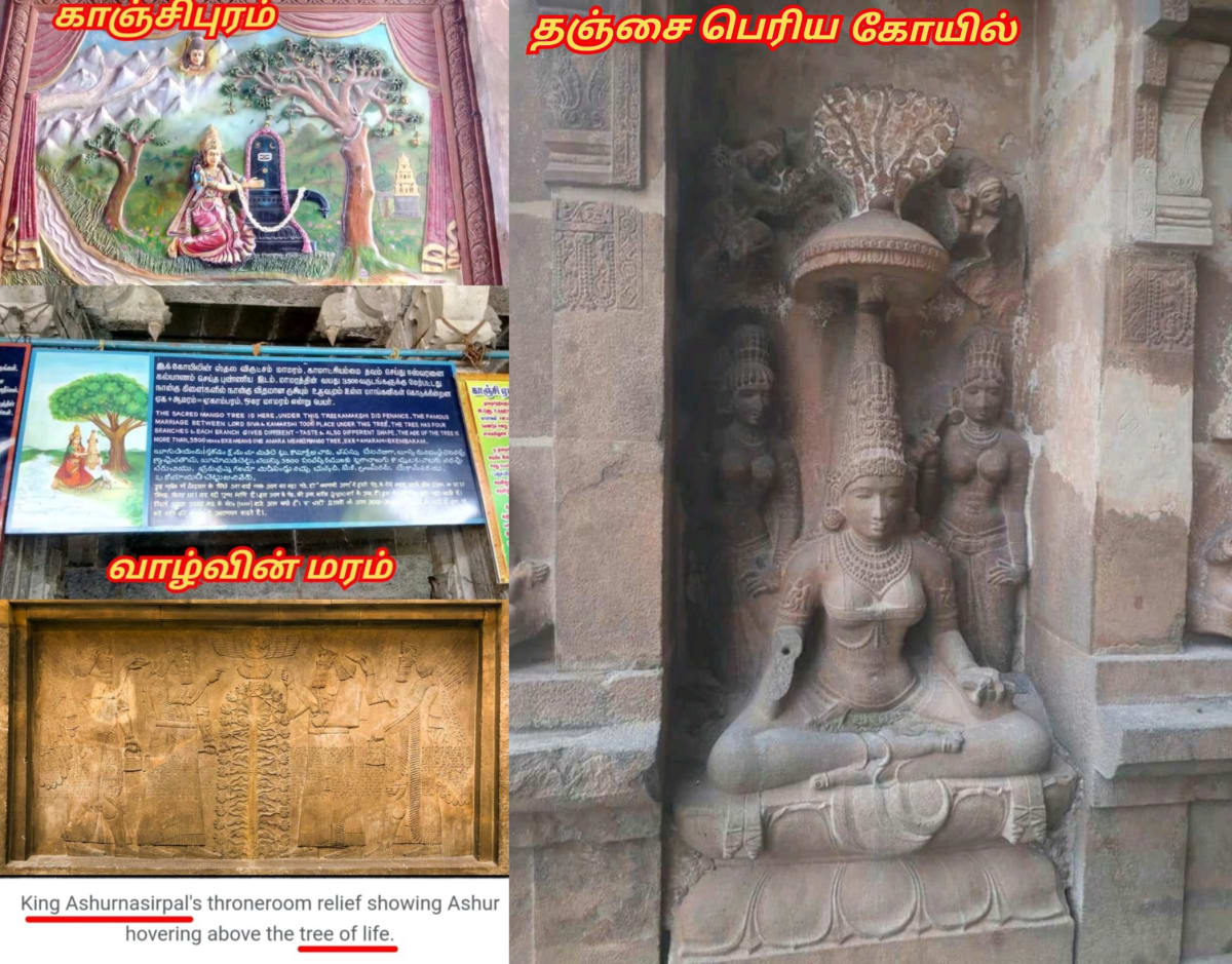 Kapala God Pallar Secret History Hapalla kapalla Gaballa | கடவுள் பள்ளர் மள்ளர் மறைக்கப்பட்ட வரலாறு