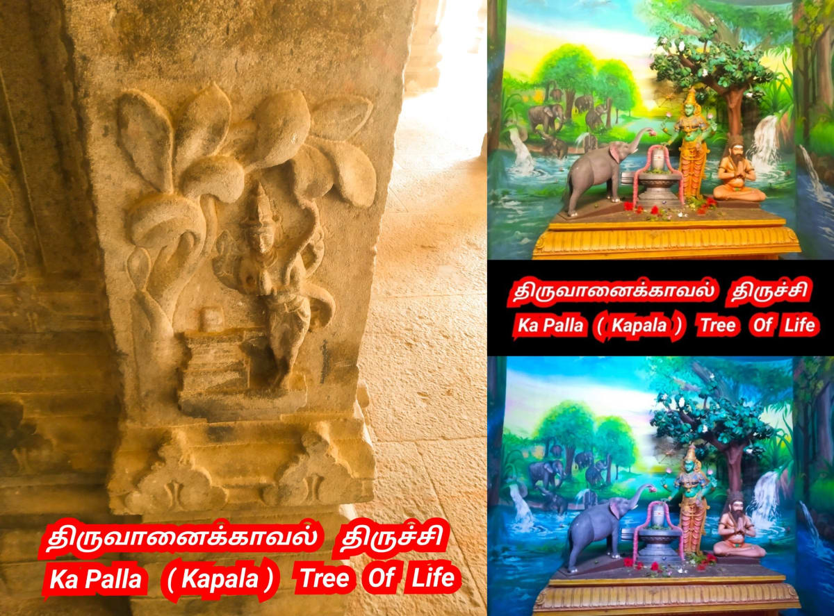 Kapala God Pallar Secret History Hapalla kapalla Gaballa | கடவுள் பள்ளர் மள்ளர் மறைக்கப்பட்ட வரலாறு