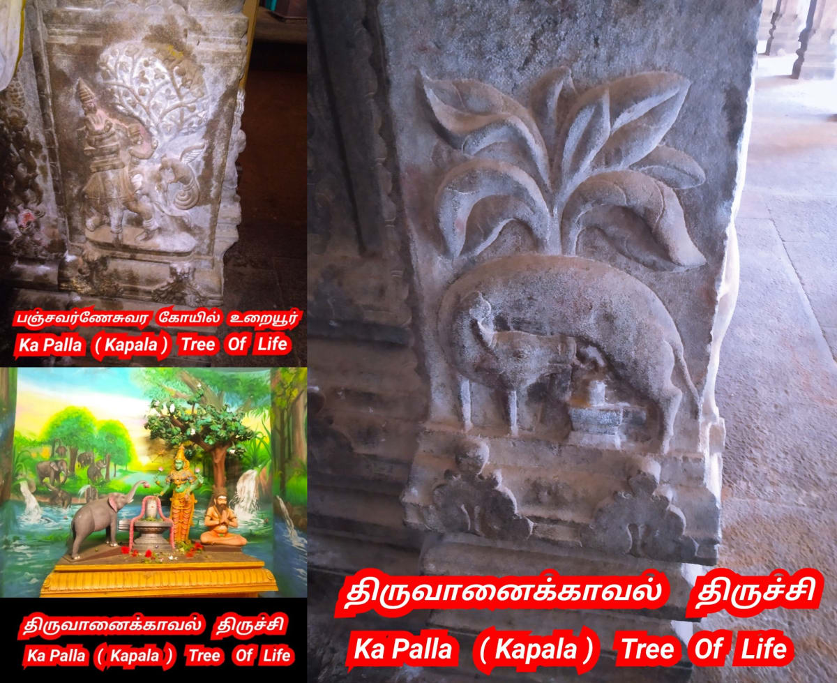 Kapala God Pallar Secret History Hapalla kapalla Gaballa | கடவுள் பள்ளர் மள்ளர் மறைக்கப்பட்ட வரலாறு