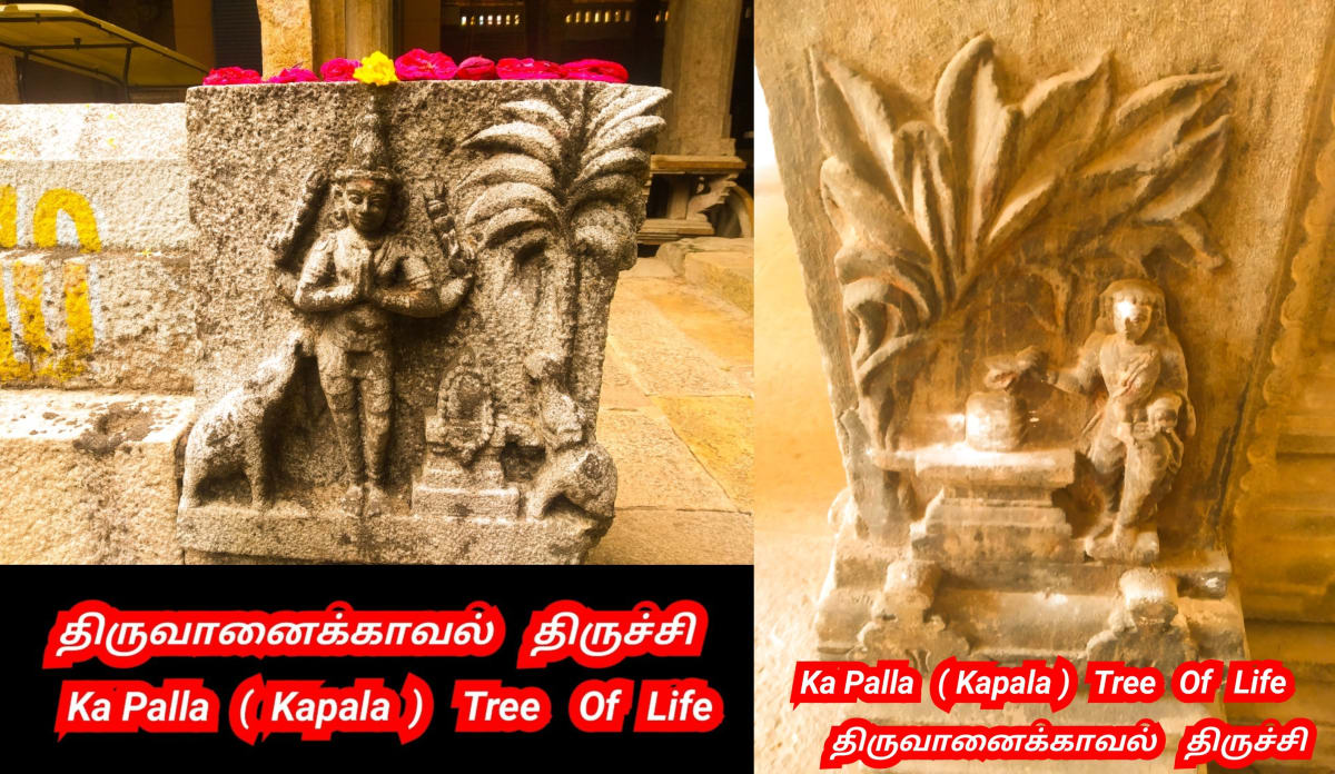 Kapala God Pallar Secret History Hapalla kapalla Gaballa | கடவுள் பள்ளர் மள்ளர் மறைக்கப்பட்ட வரலாறு