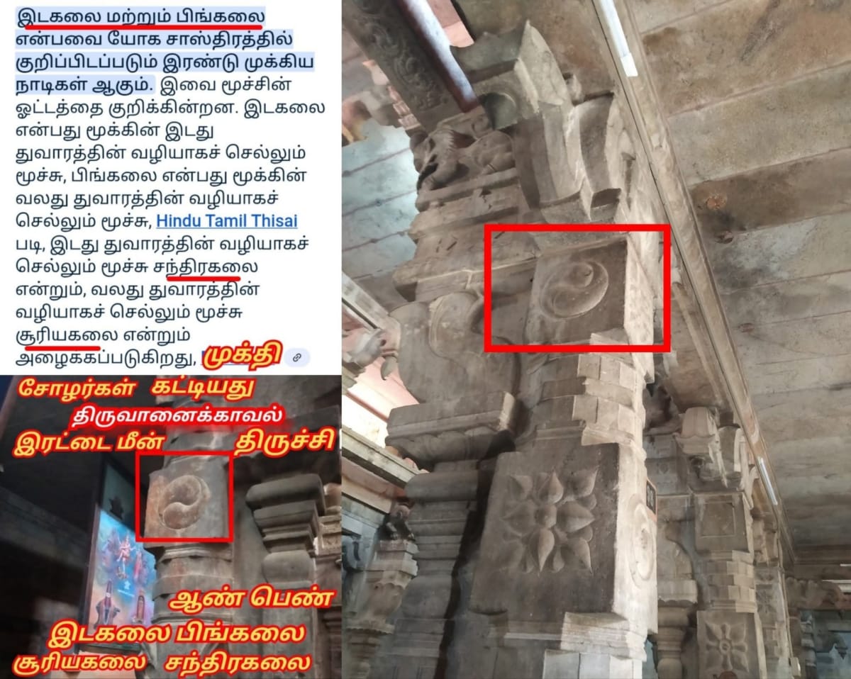 Universe God's Number Pallar Mallar | அண்டம் பிரபஞ்சம் படைத்த கடவுள்கள் எண் பள்ளர் மள்ளர்