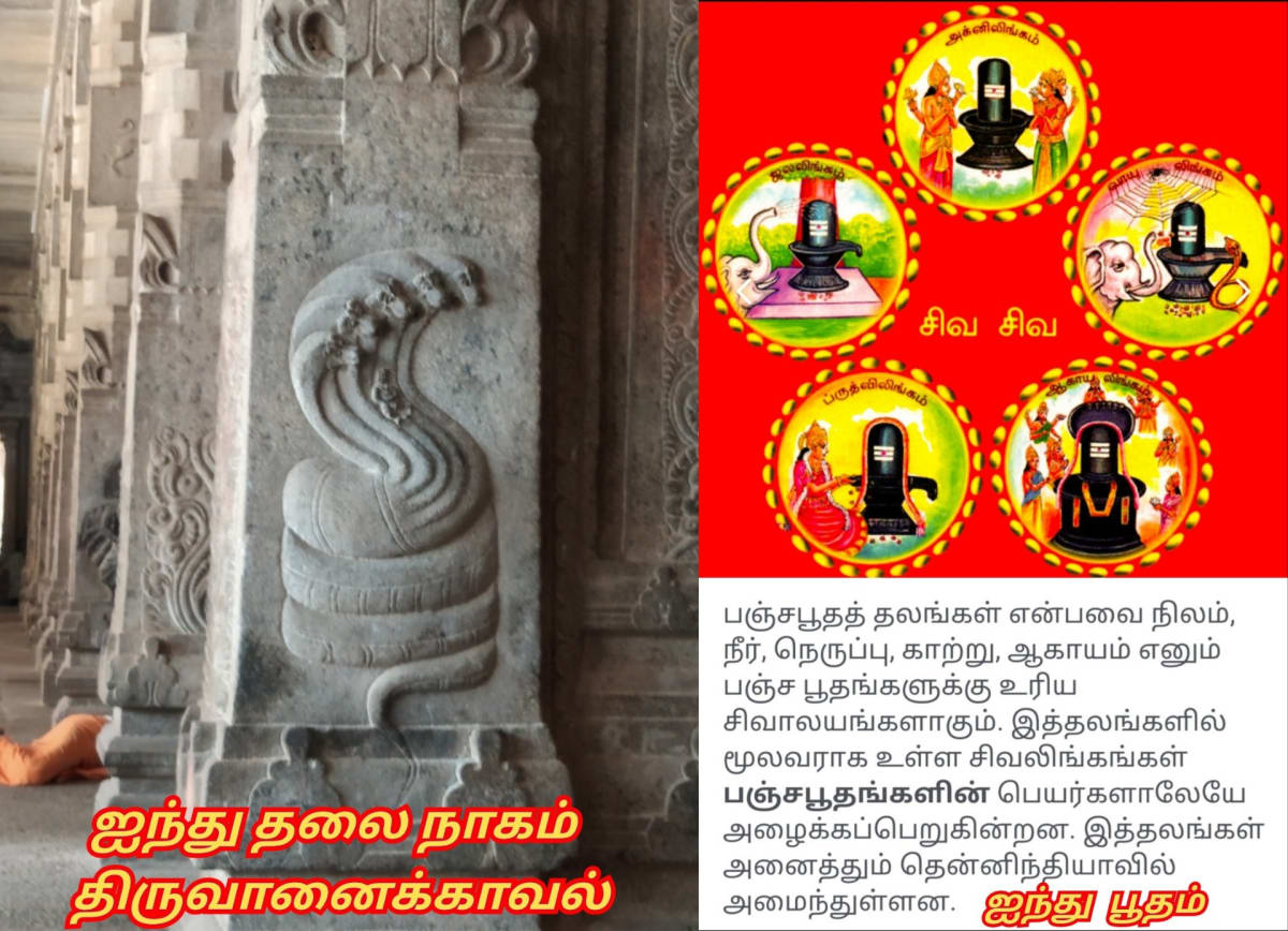 Universe God's Number Pallar Mallar | அண்டம் பிரபஞ்சம் படைத்த கடவுள்கள் எண் பள்ளர் மள்ளர்