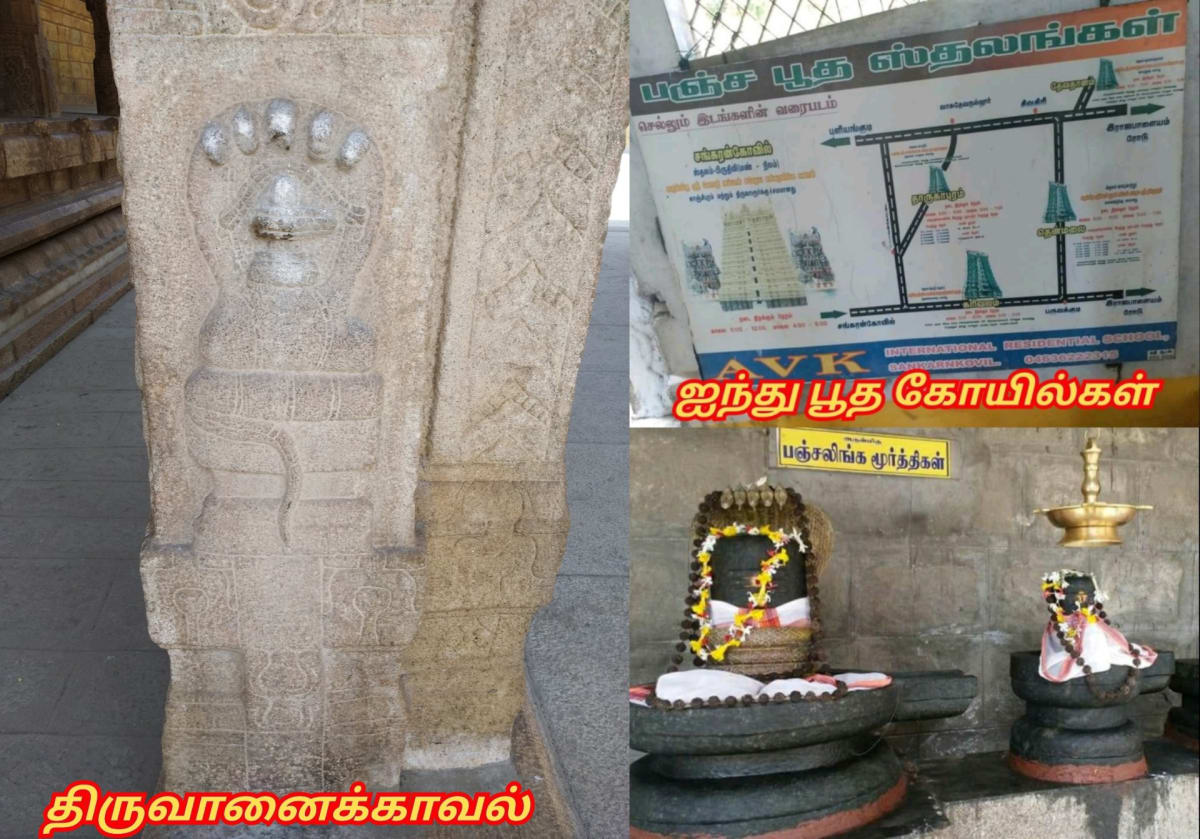 Universe God's Number Pallar Mallar | அண்டம் பிரபஞ்சம் படைத்த கடவுள்கள் எண் பள்ளர் மள்ளர்