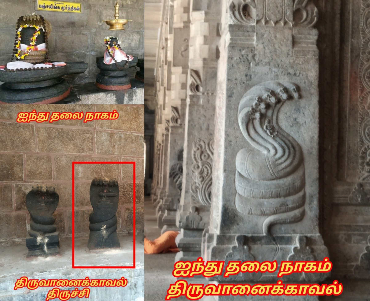 Universe God's Number Pallar Mallar | அண்டம் பிரபஞ்சம் படைத்த கடவுள்கள் எண் பள்ளர் மள்ளர்