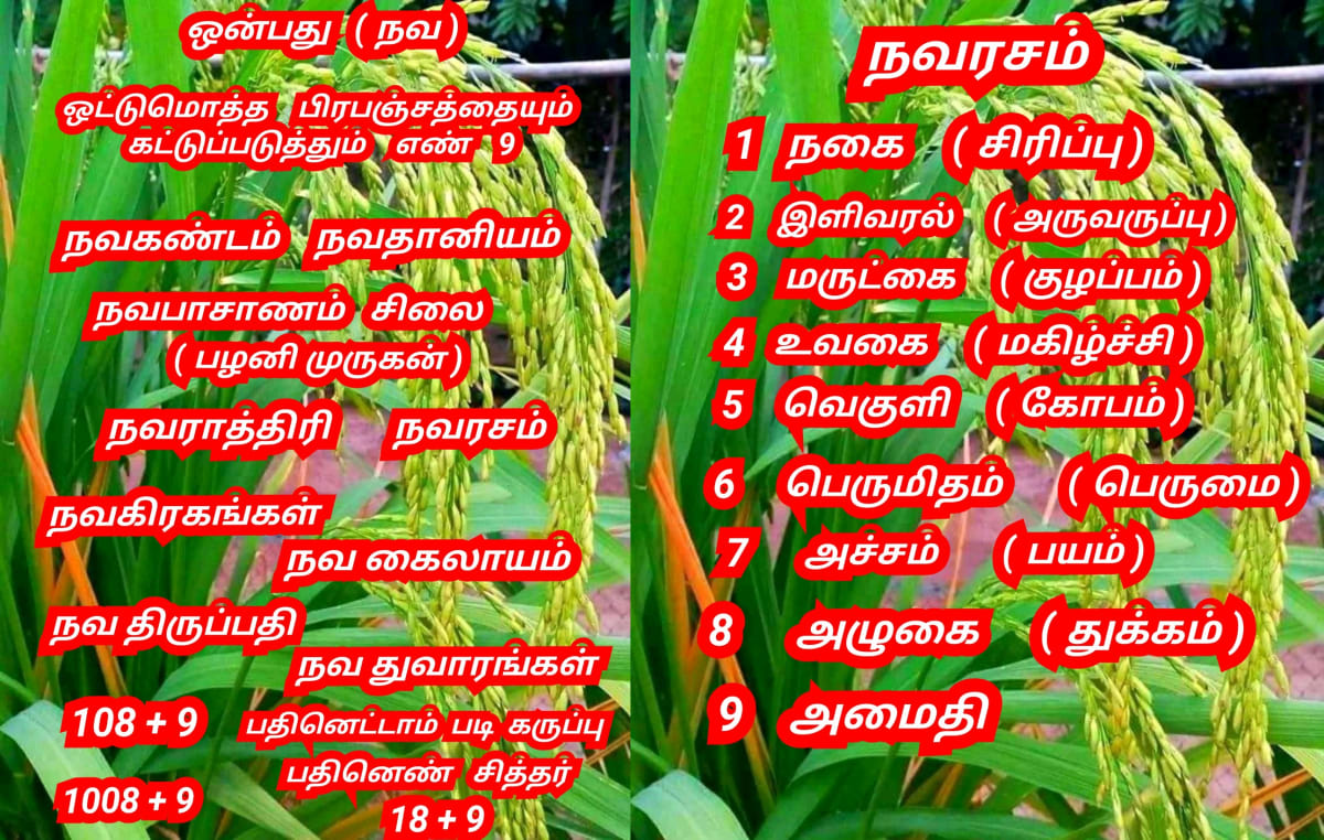 Universe God's Number Pallar Mallar | அண்டம் பிரபஞ்சம் படைத்த கடவுள்கள் எண் பள்ளர் மள்ளர்