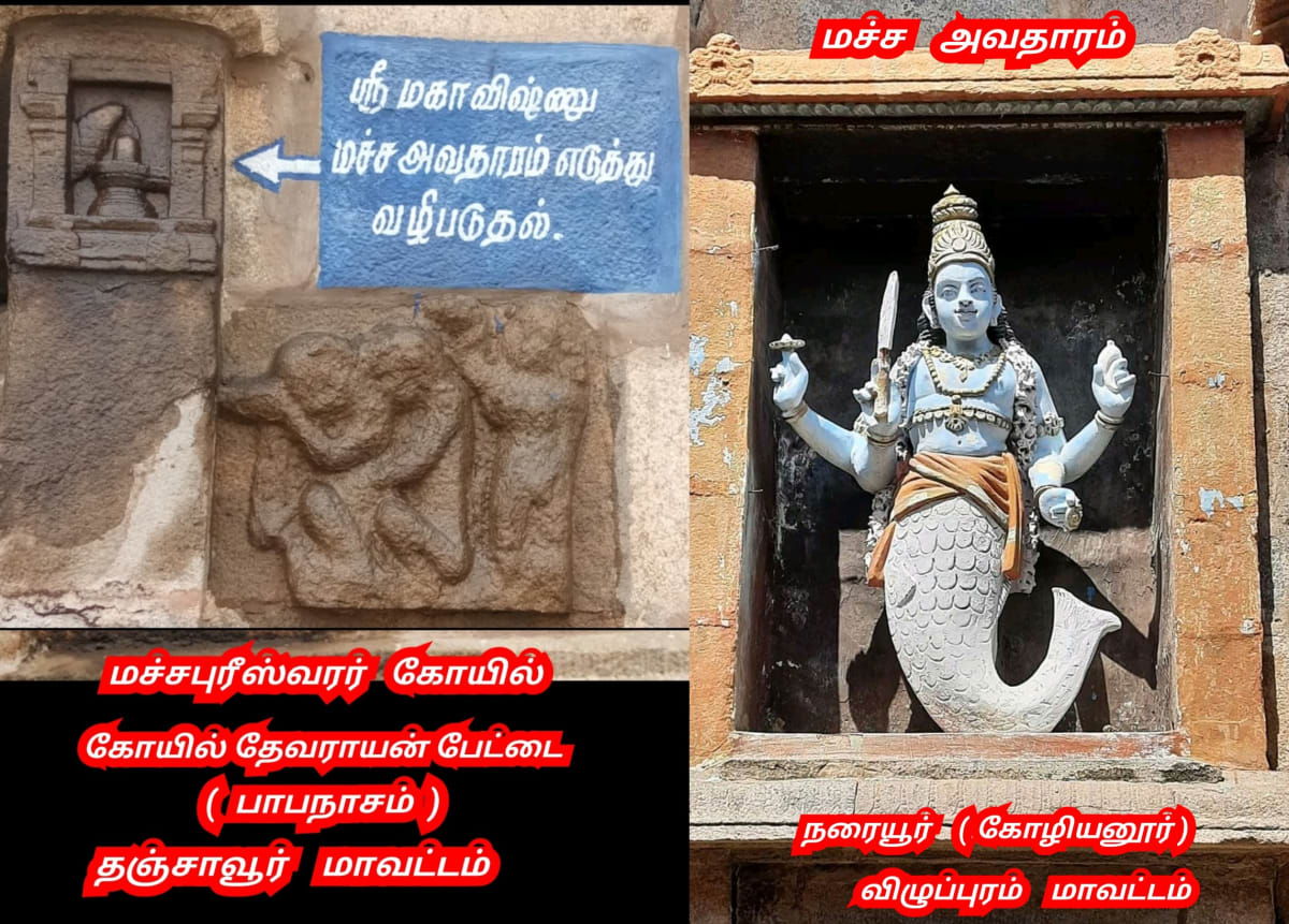 Thirumal Perumal God Pallar Mallar | திருமால் பெருமாள் கடவுள் பள்ளர் மள்ளர்