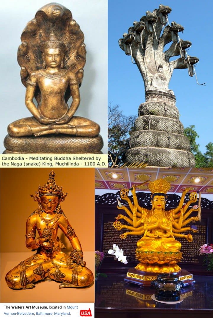 Buddha God Pallar Mallar Shakya | புத்தர் கடவுள் பள்ளர் மள்ளர் வம்சத்தை சேர்ந்தவர் சாக்கியர்