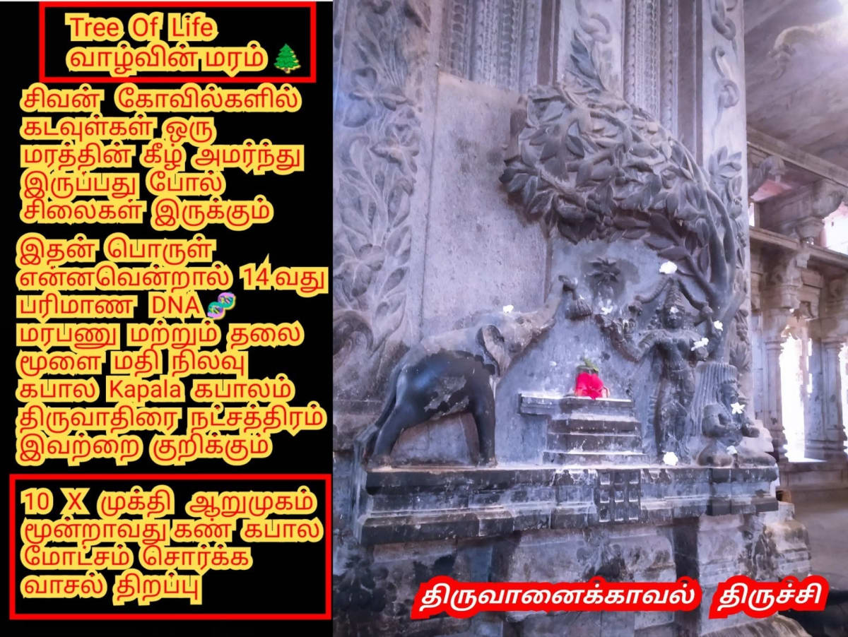 CERN Nuclear Research Lord Shivan Pallar Mallar Universe God's | CERN ஆணு ஆராய்ச்சி மையத்தில் சிவனின் சிதம்பரம் நடராஜர் சிலை வைத்து ஆராய்ச்சி செய்து வருகின்றனர் சுவிட்சர்லாந்து